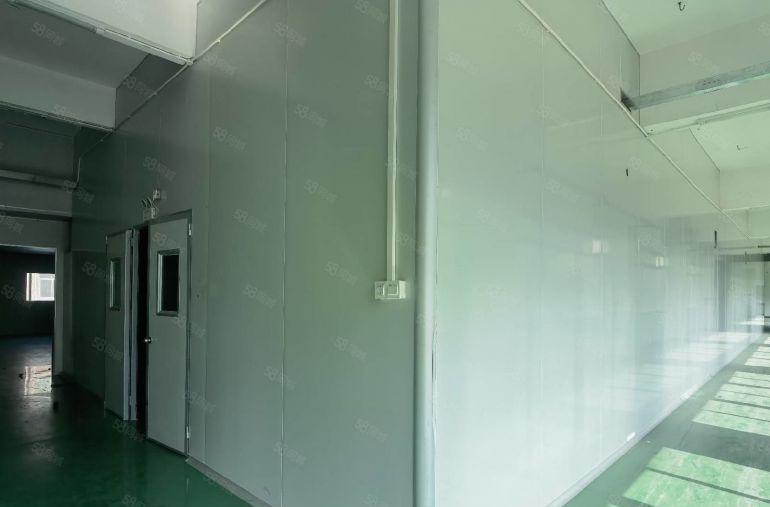 常平6000平一手房东现成装修办公室水电齐全标准独院厂房出租