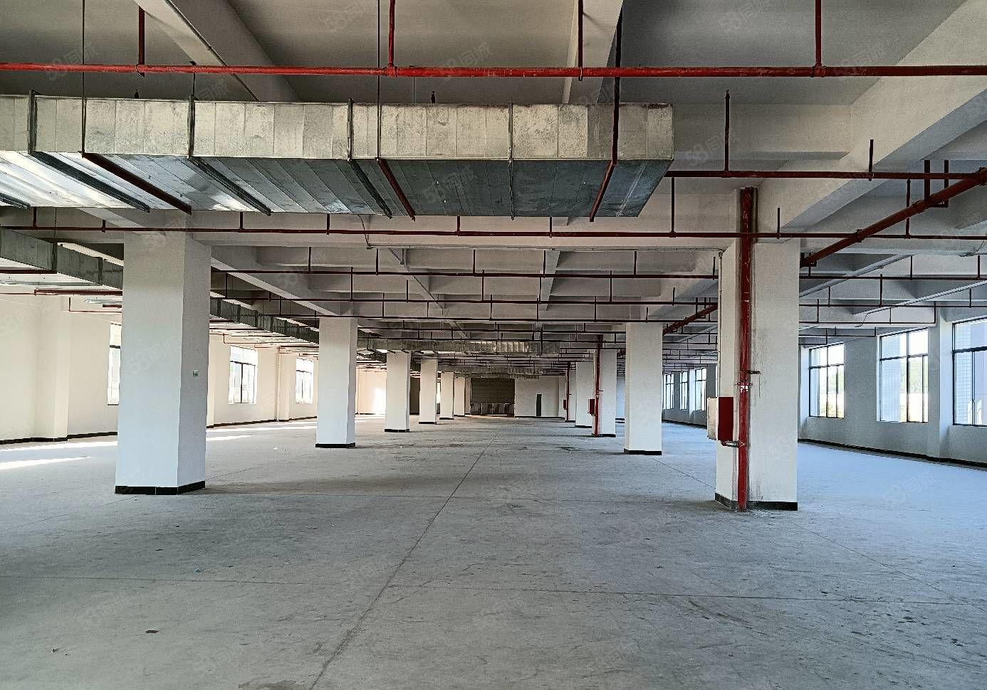 红本厂权，自带环评，证件齐全