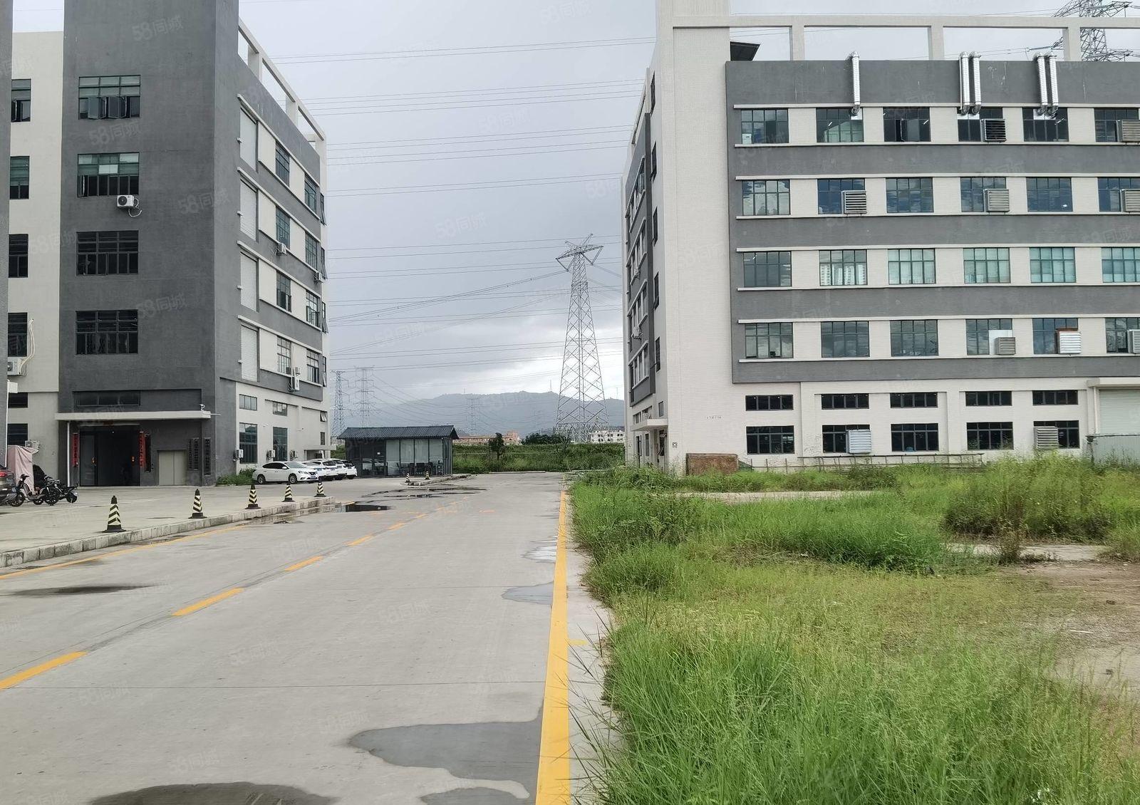 低价租常平常黄新出原房东标准一楼1800平6米高带牛角大小分