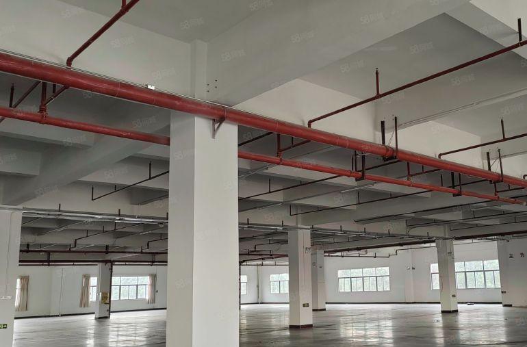 常平镇原房东标准二楼4500平方厂房出租，形象超好，价格便宜