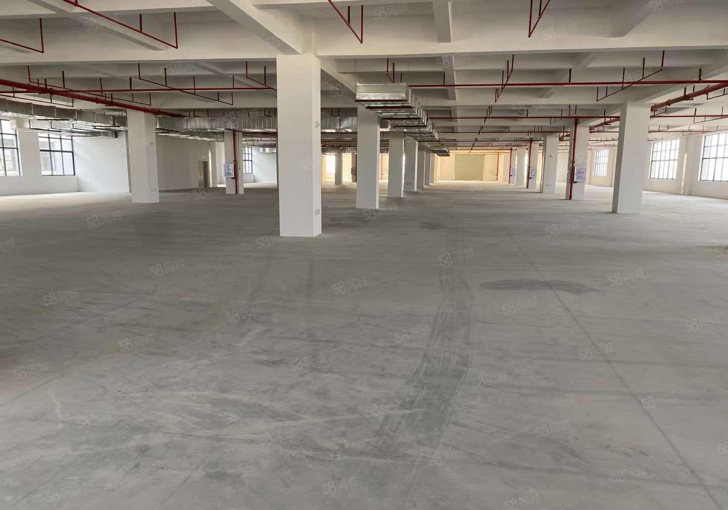 常平红本工业园新出二三四楼各5120平方二楼带牛角有卸货平台