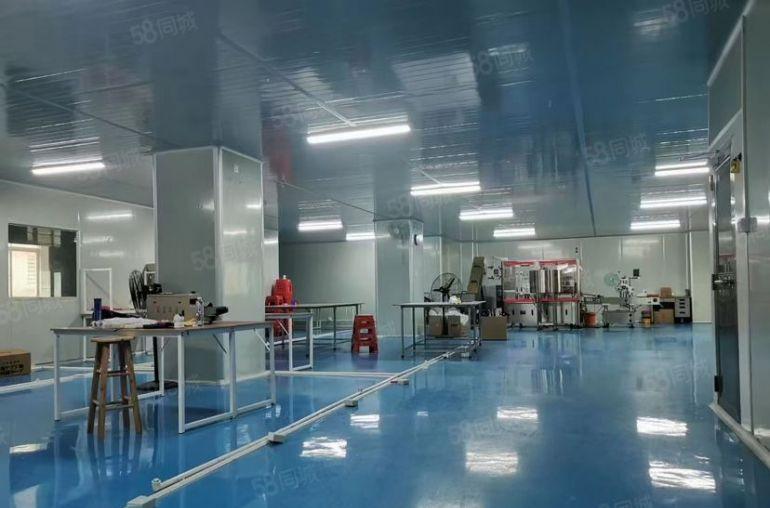 常平独院新空无尘车间厂房出租，950平带精装修现成主线到车间