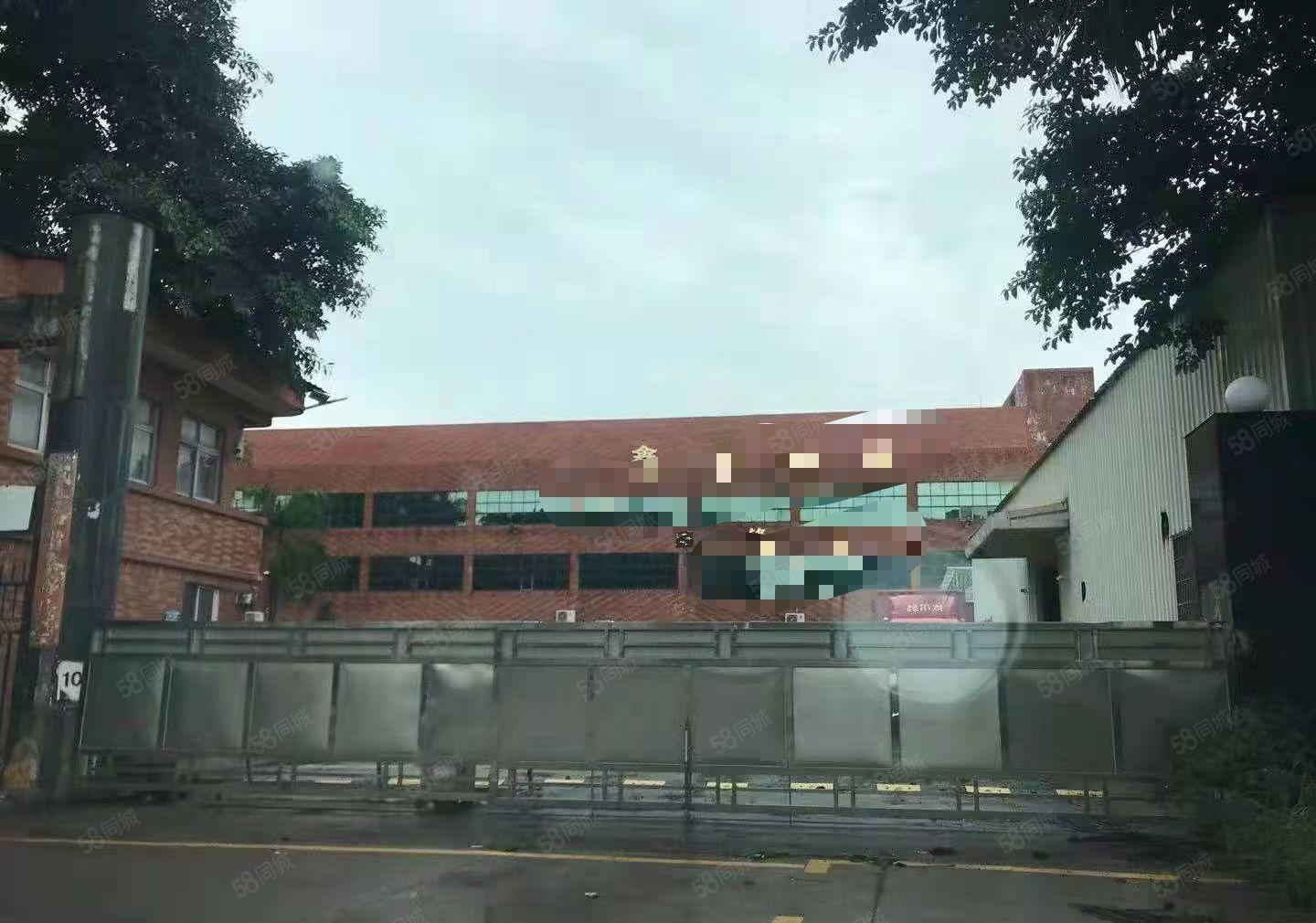 常平镇新出花园独院厂房总面积10000平，空地大水电装修齐全