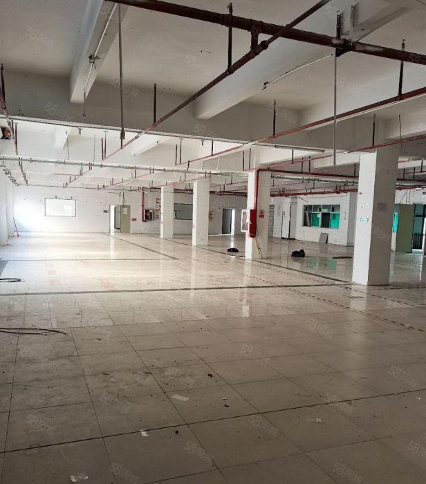 常平原房东厂房5500平宿舍2000平已空随时可谈可定