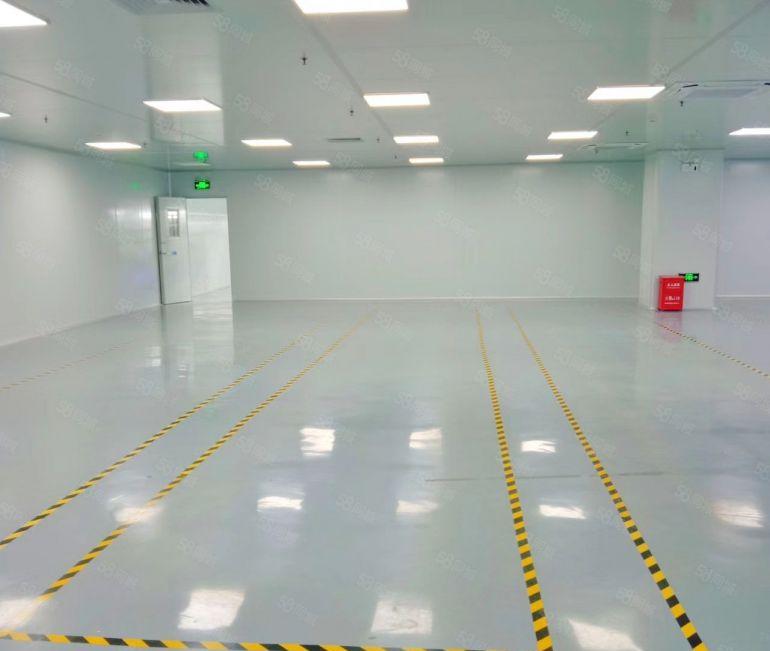 常平白石岗超低价厂房分租楼上一层带无层车间1200平方带装修