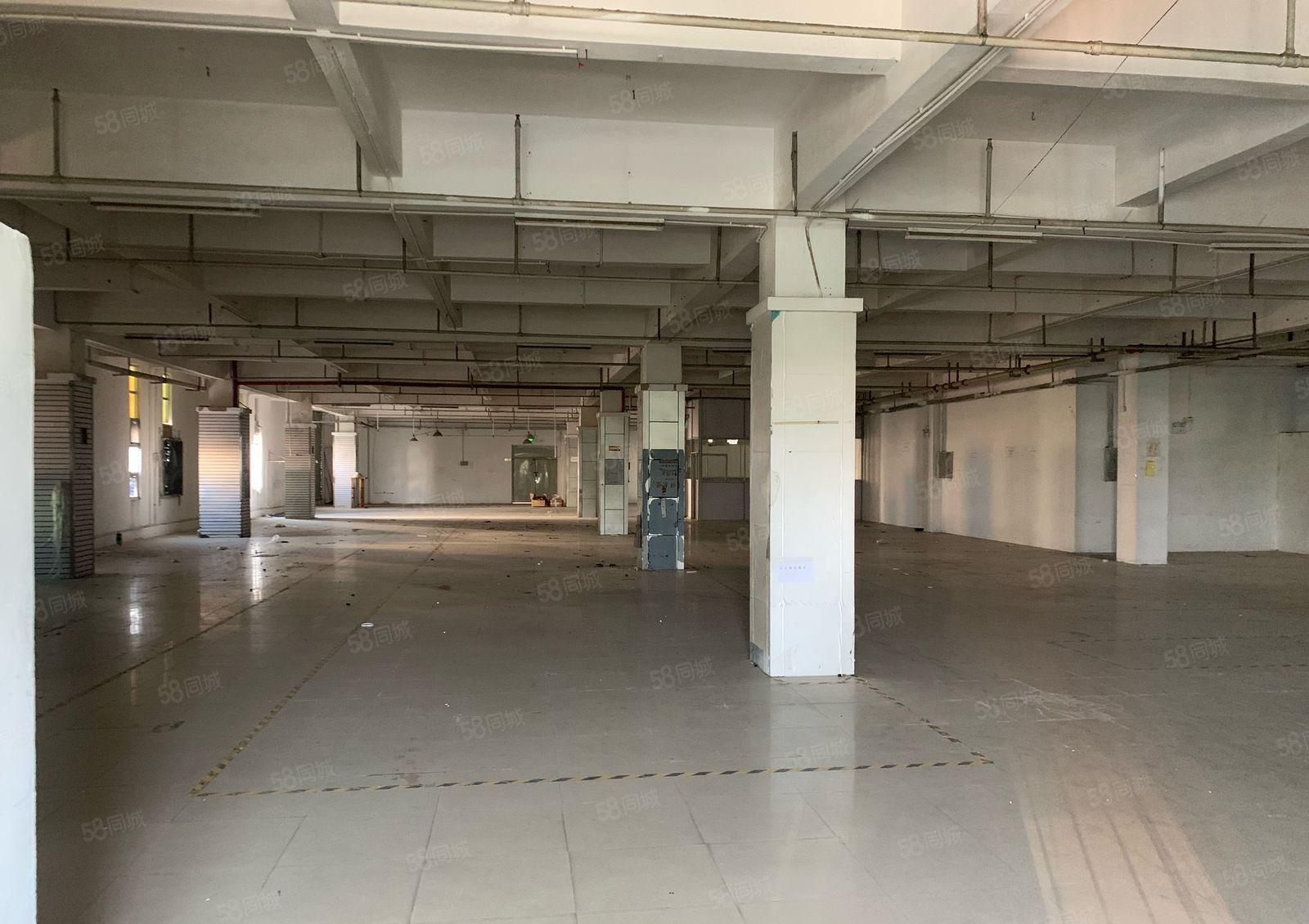 常平标准厂房实际面积出租