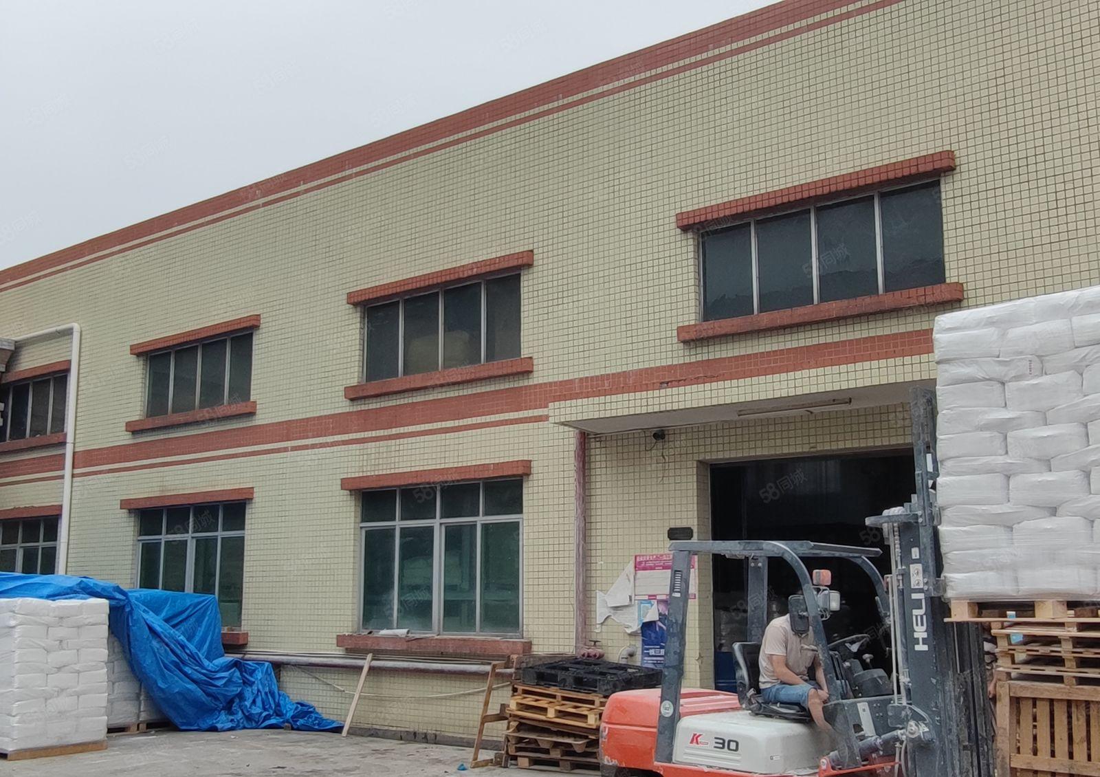 常平镇白石岗工业区原房东低价厂房出租独院3000平方钢结构