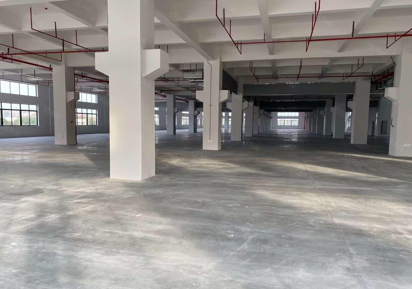 常平红本工业园新出二三四楼各5120平方二楼带牛角有卸货平台