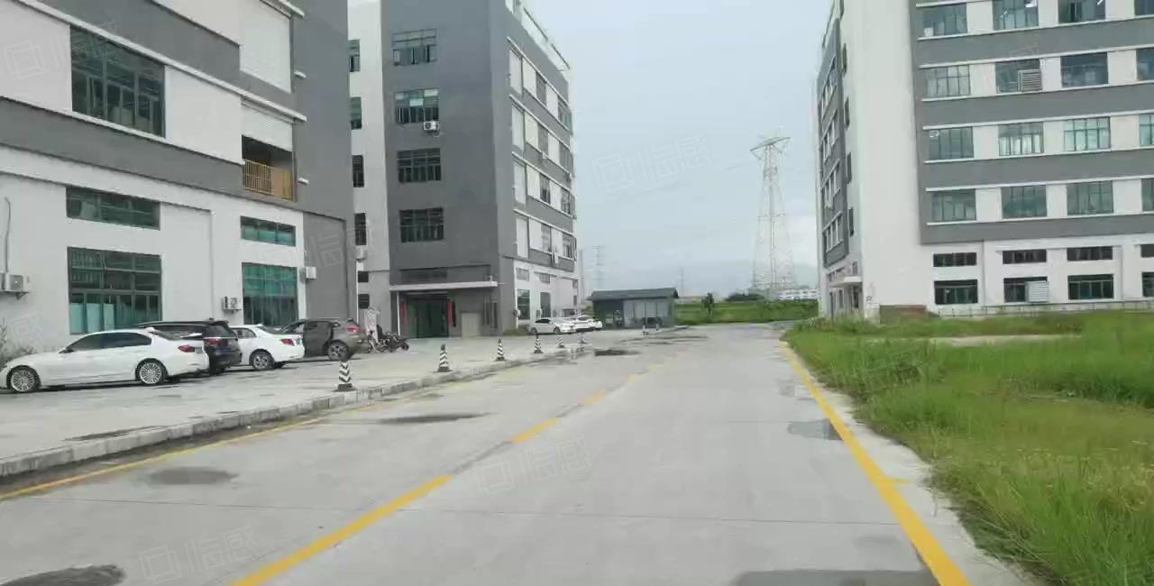 低价租常平常黄新出原房东标准一楼1800平6米高带牛角大小分