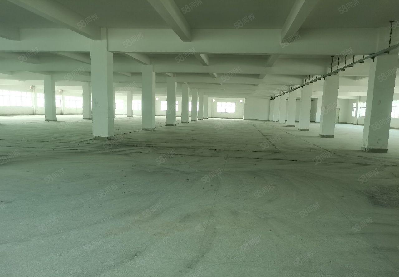 常平镇带红本标准三层独院厂房6000平空地大水电齐全