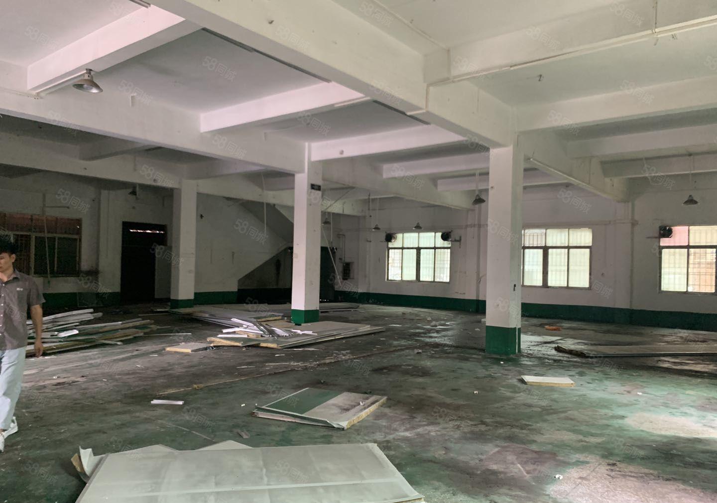 常平镇还珠沥独门独院厂房豪华办公楼水电到位形象非常漂亮