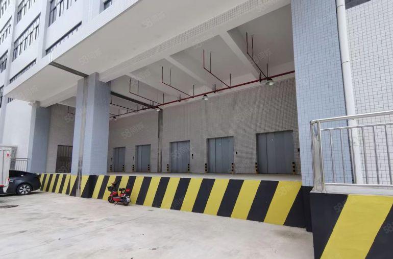 常平镇新出标准31000平方厂房出租，空地大进出方便，形象好