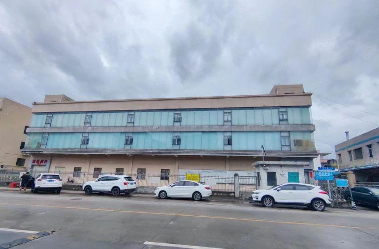 常平桥沥原房东3000平方，首层6米，豪华装修