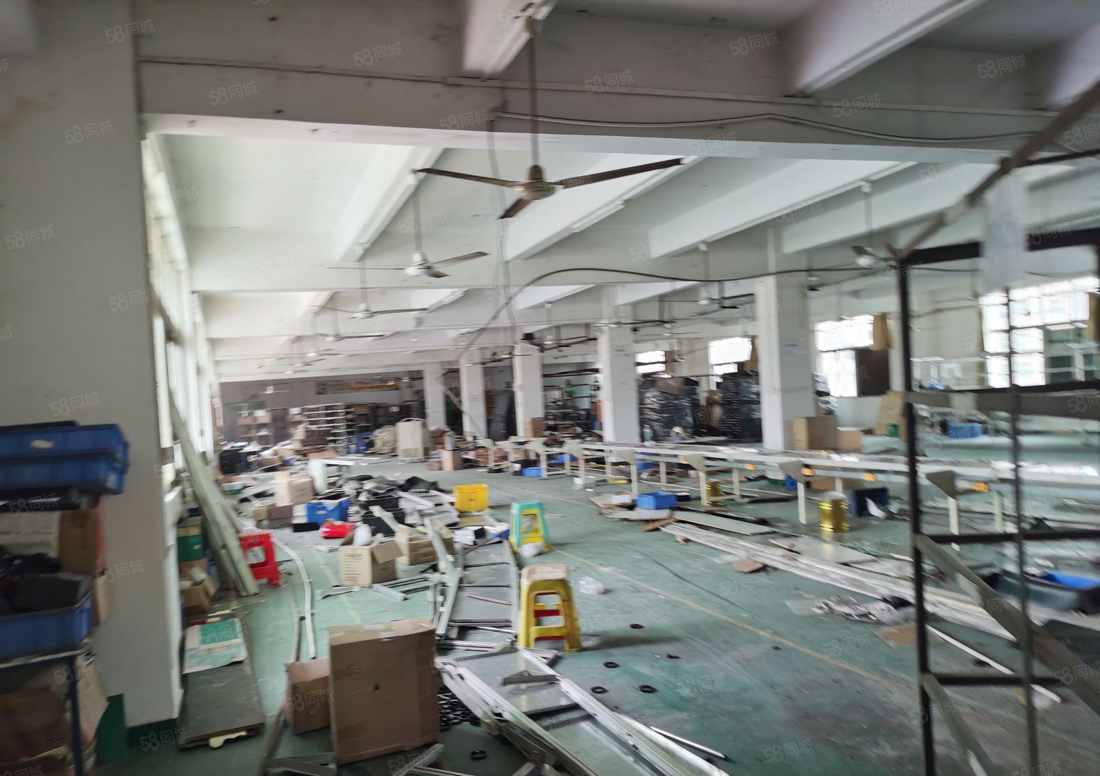 金美原房东便宜厂房3000平方招租，配套齐，适合任何行业