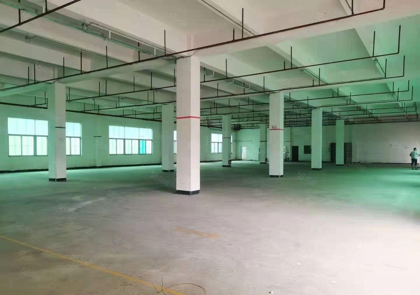 常平镇中心附近厂房出租面积4800平和3千平可以分租