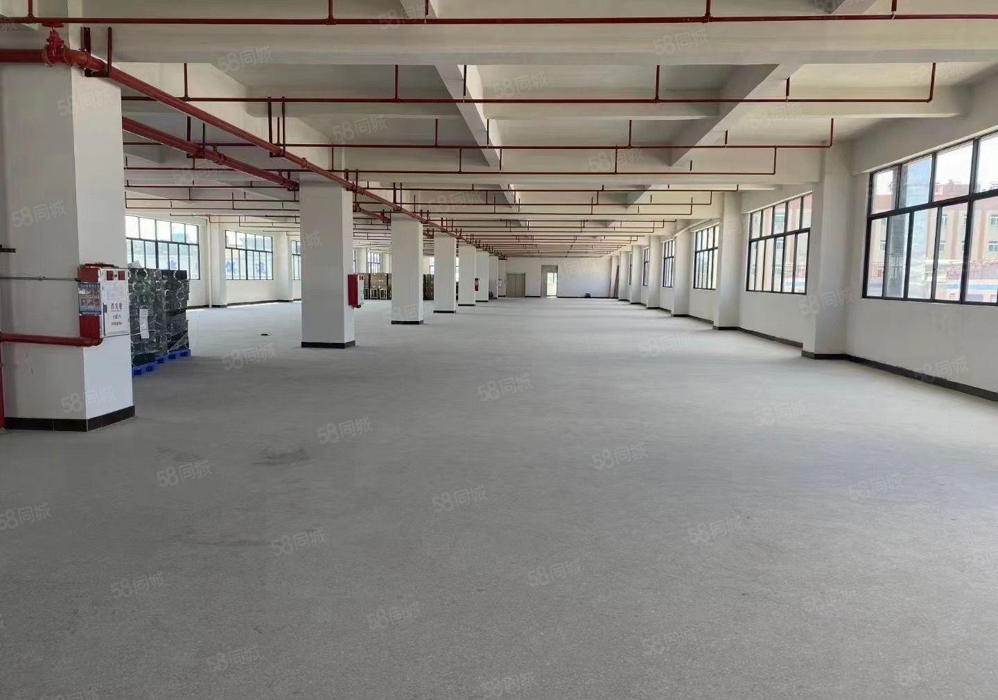 标准厂房出租，空地大，形象好，工业集聚地