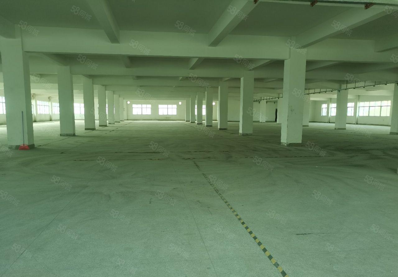 常平镇带红本标准三层独院厂房6000平空地大水电齐全