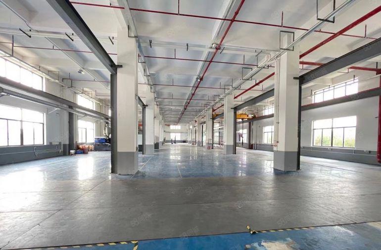 常平镇原房东独院标准带装修厂房出租