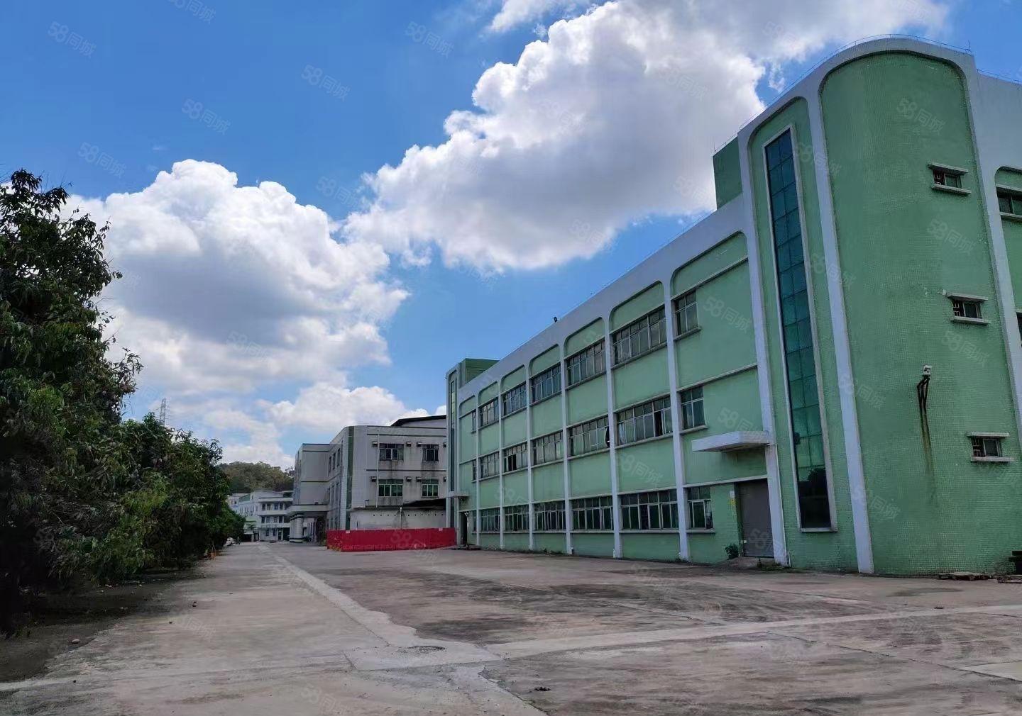 常平桥沥共3层独院厂房10000平方，宿舍1000平方。