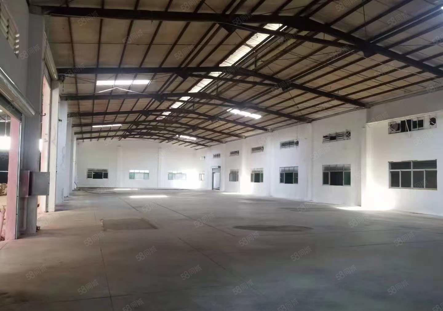 常平新出原房东单一层钢结构厂房招租