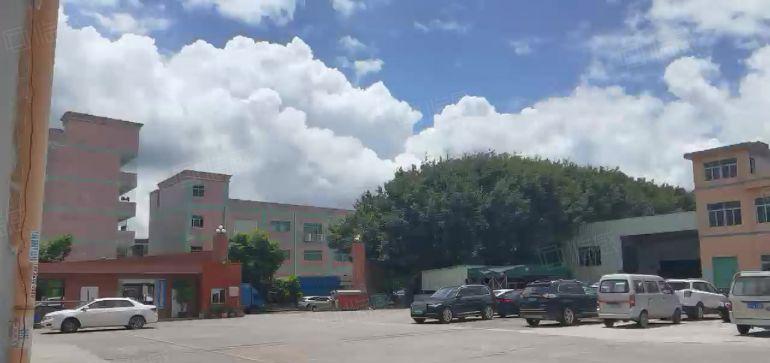 常平原房东砖墙到顶单一层钢结构1950平，滴水8米带办公室