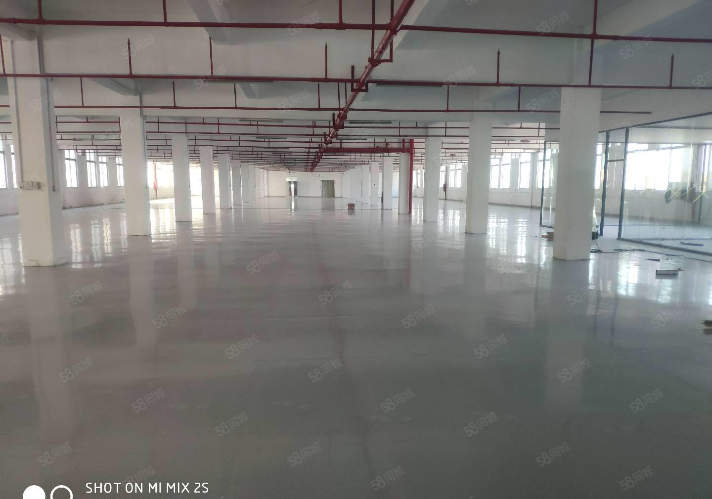 原房东标准厂房10000平方，带水电装修出租，空地大