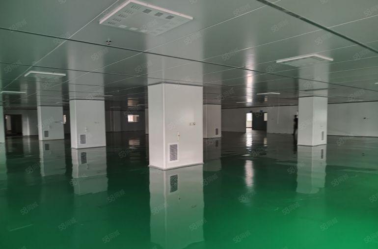 常平木伦新出1650平无尘车间设备都还保留无需过多装修