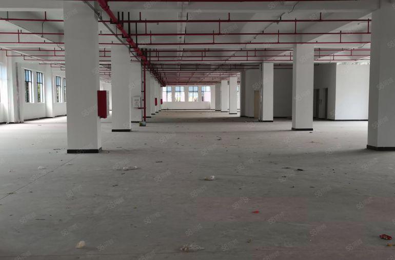 常平镇独院标准13000平方厂房出租，空地大环境好，价格便宜