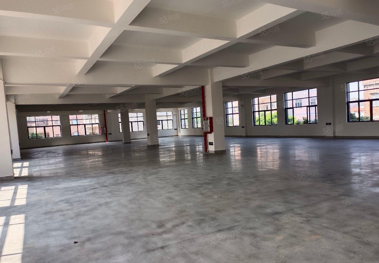 常平袁山贝厂房低价出租独院6000平米外观形象全新交通便利。