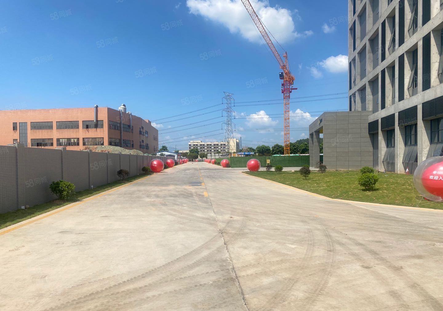 常平新出物流仓带大卸货平台高速主干道边60000平