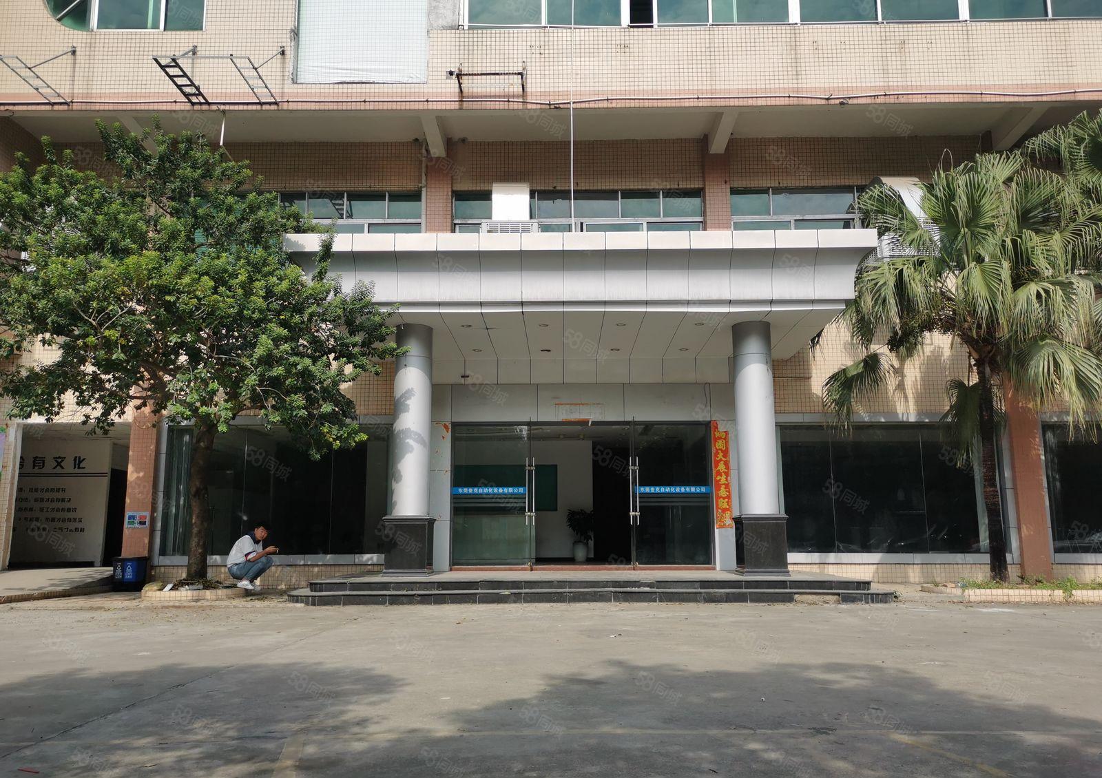 常平镇新出独院标准厂房出租豪华装修带展厅水电齐全易招工