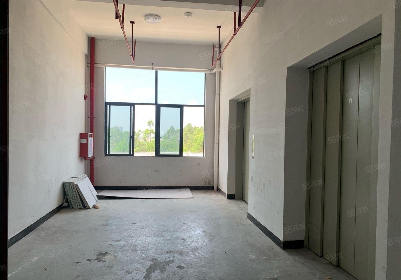 常平镇现成精装修厂房，人流量大，易招工，面积实在，入驻即生产