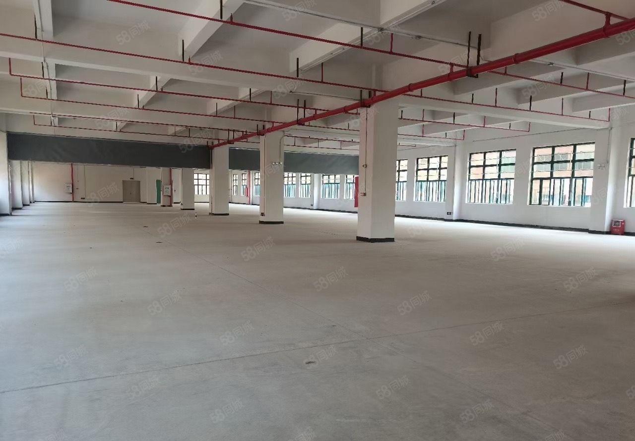 标准厂房出租，空地大，形象好，工业集聚地