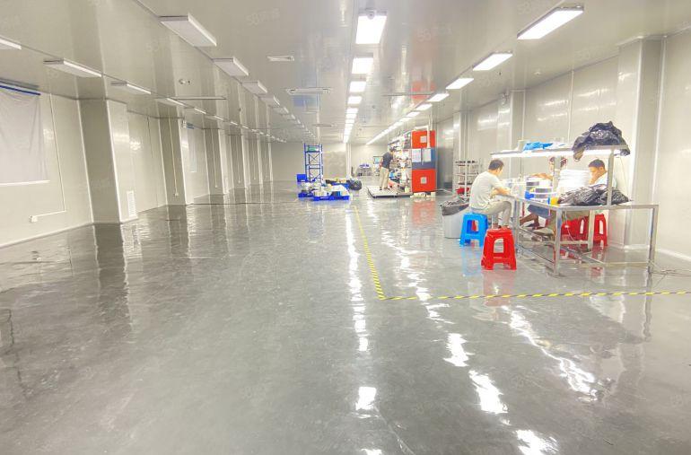 常平 原房东   独院   无尘车间   适合电子模切五金等