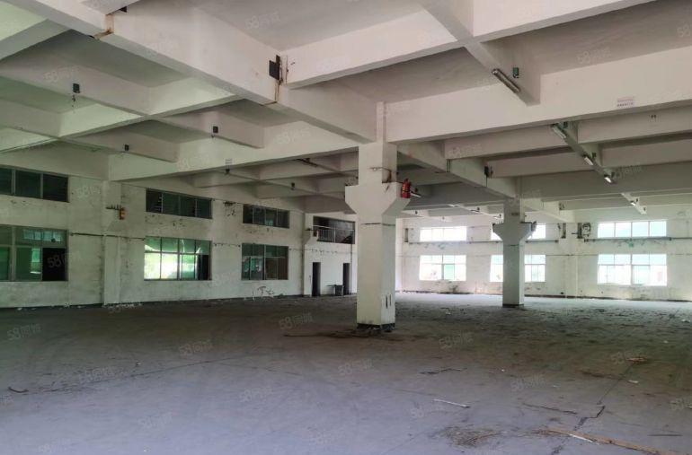 常平大京九塑胶城单一层钢构厂房仓库独院空地大1500平超低价