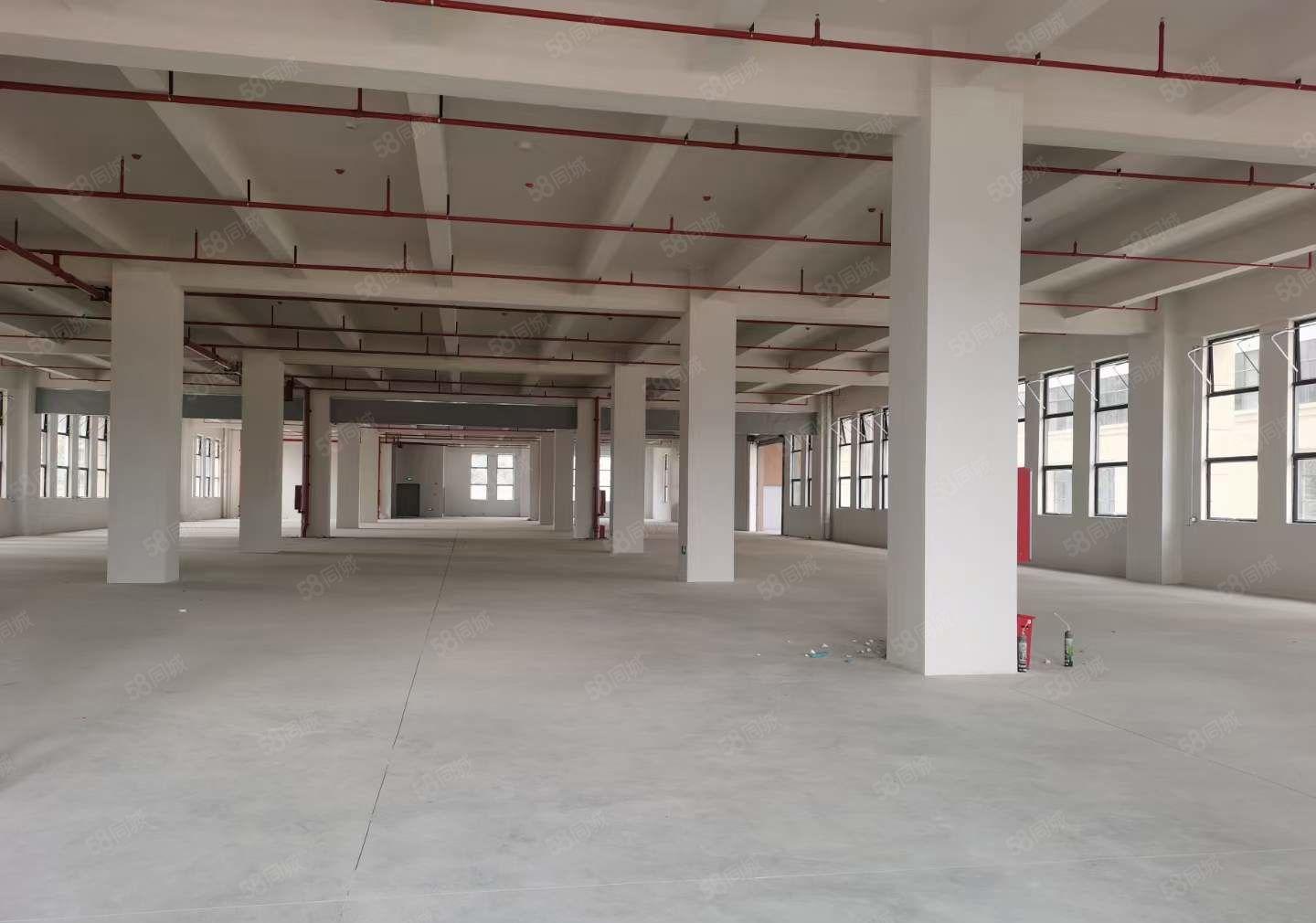 常平镇高速路口新出原房东 红本 厂房18000平单层2250