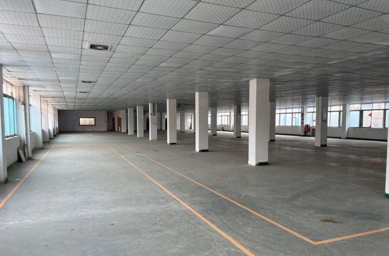 常平新出原房东经典小独院厂房出租适合五金注塑电子家具