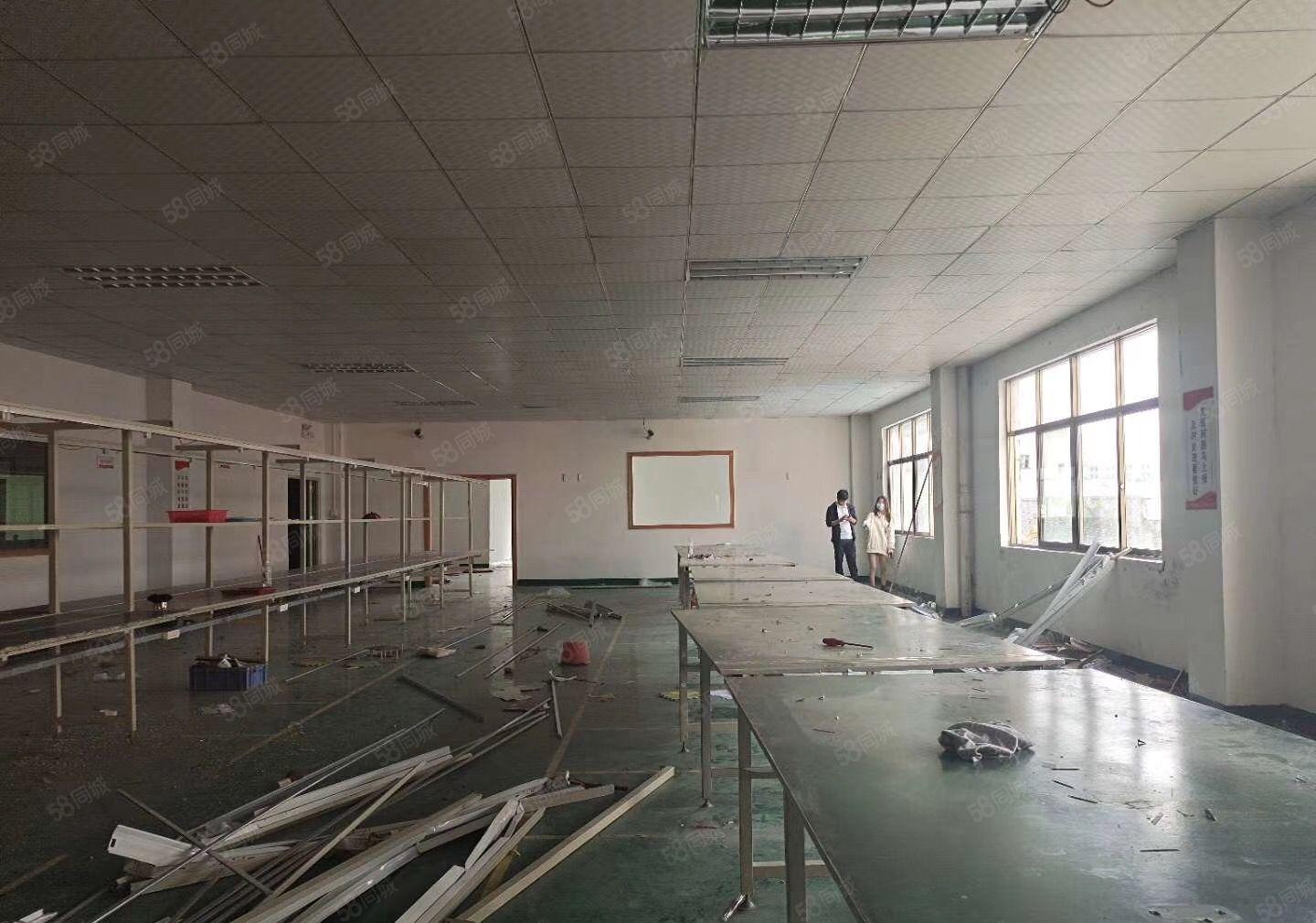 金美原房东便宜厂房3000平方招租，配套齐，适合任何行业