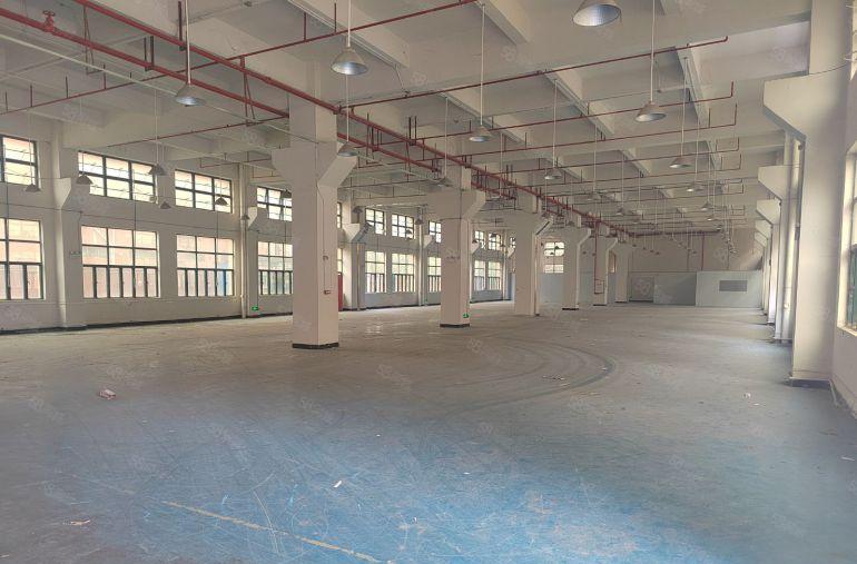 常平花园式独门独院原房东标准厂房一楼1760