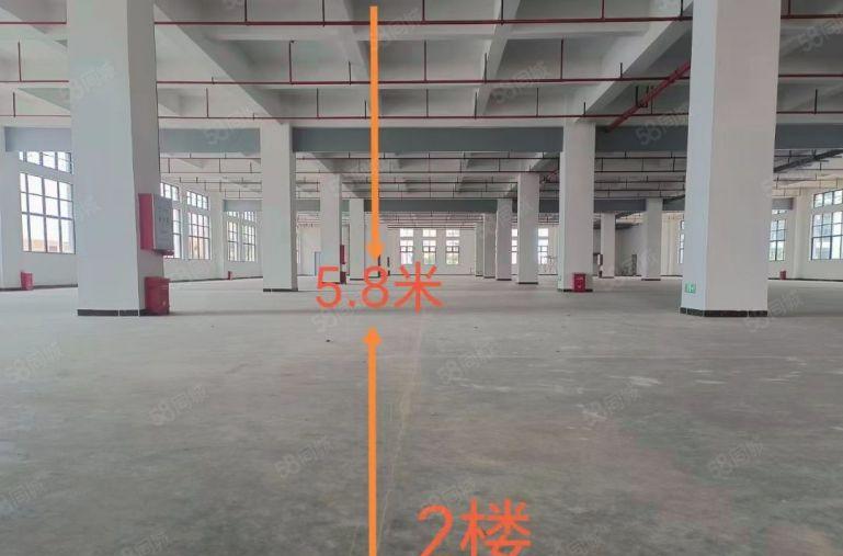 全新红本厂房出租，带丙类消防，主线3百千瓦到每一层车间超划算