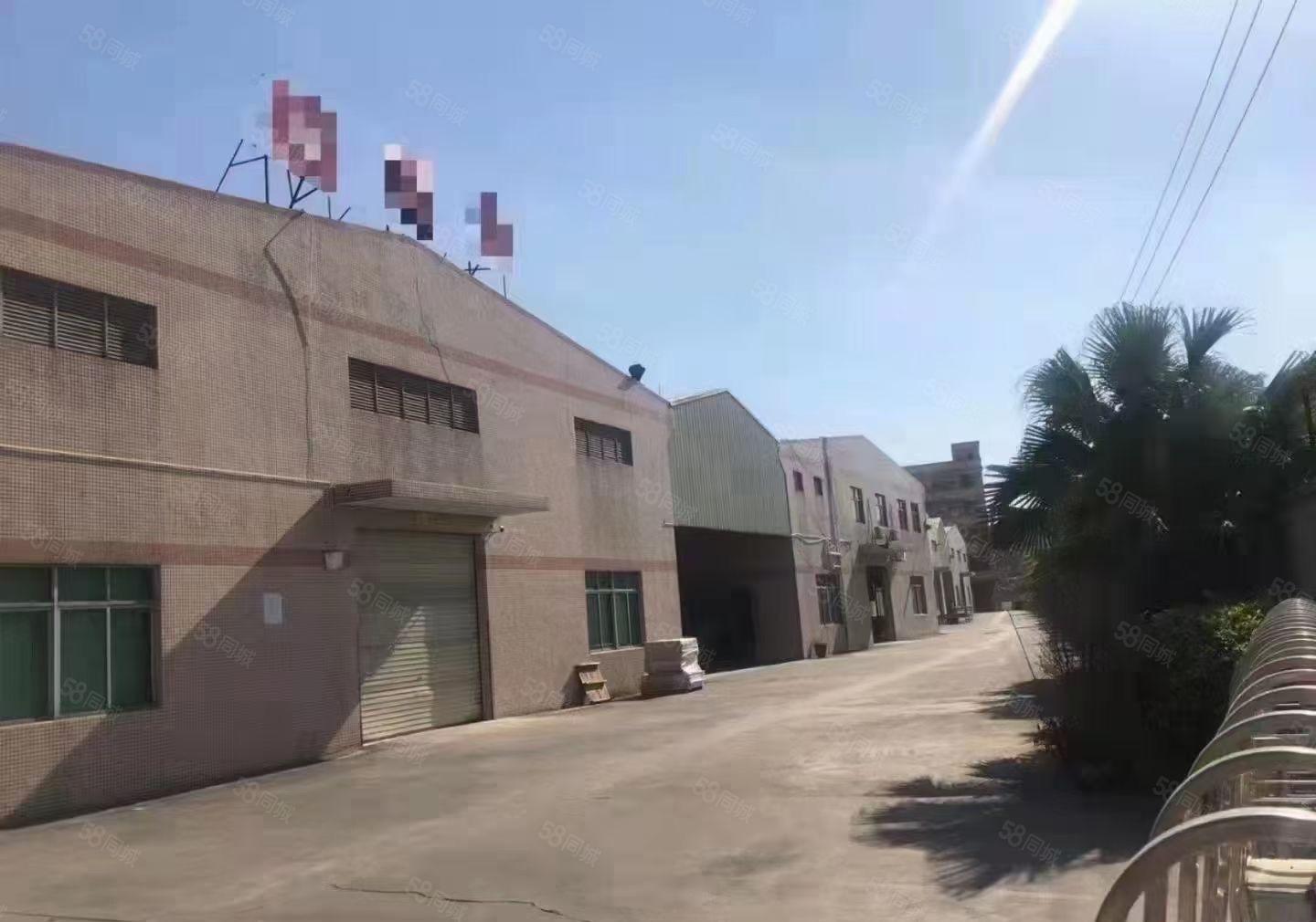 东莞市常平镇朗州村13800平方独院混凝土单一层厂房出租