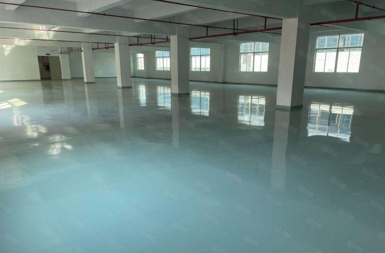 常平原房东新出全新标准厂房面积800平，车间现成装修3吨货梯