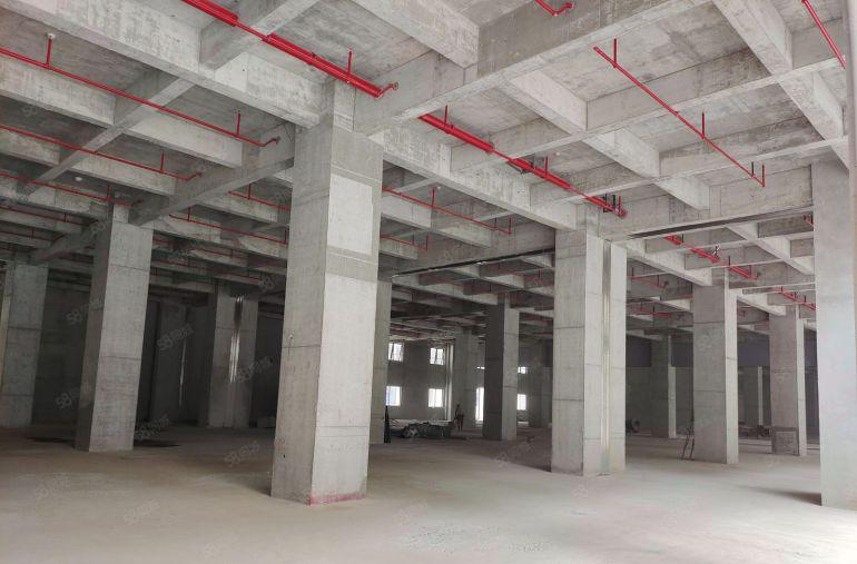 一手开发商十年租约不含公摊全新高标准厂房15元起