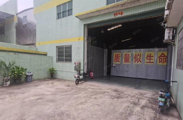 常平镇原房东独院单一层厂房11元出租形象非常漂亮