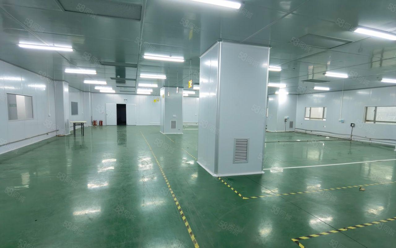 常平镇新空出楼上厂房 带现成装修 园区停车位充足 周边好招工