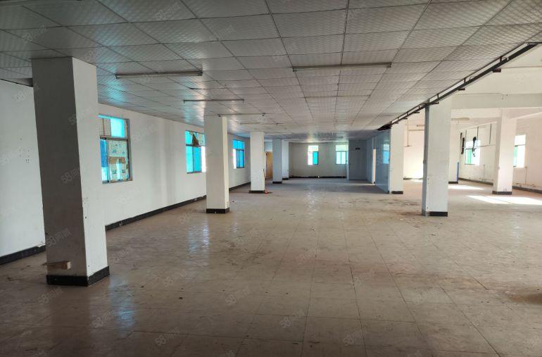 常平新出3000平原房东独门独院厂房出租（4层，8块钱便宜）