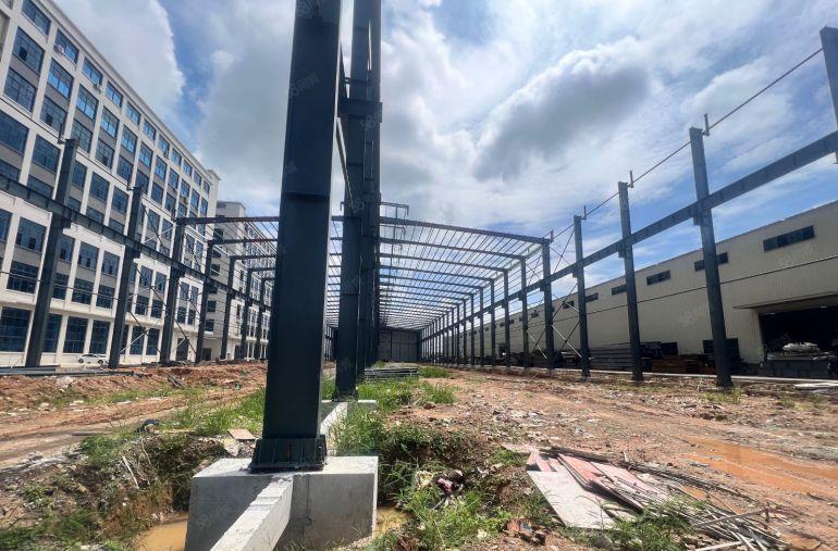 常平红本厂房 18米高新建钢构 长度300米 有行轨厂房出租