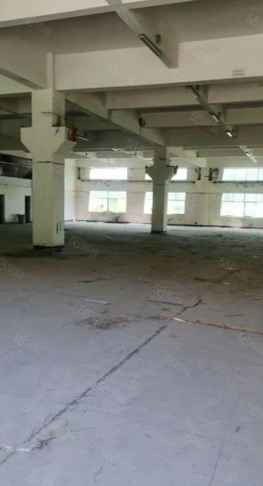 常平大京九塑胶城单一层钢构厂房仓库独院空地大1500平超低价