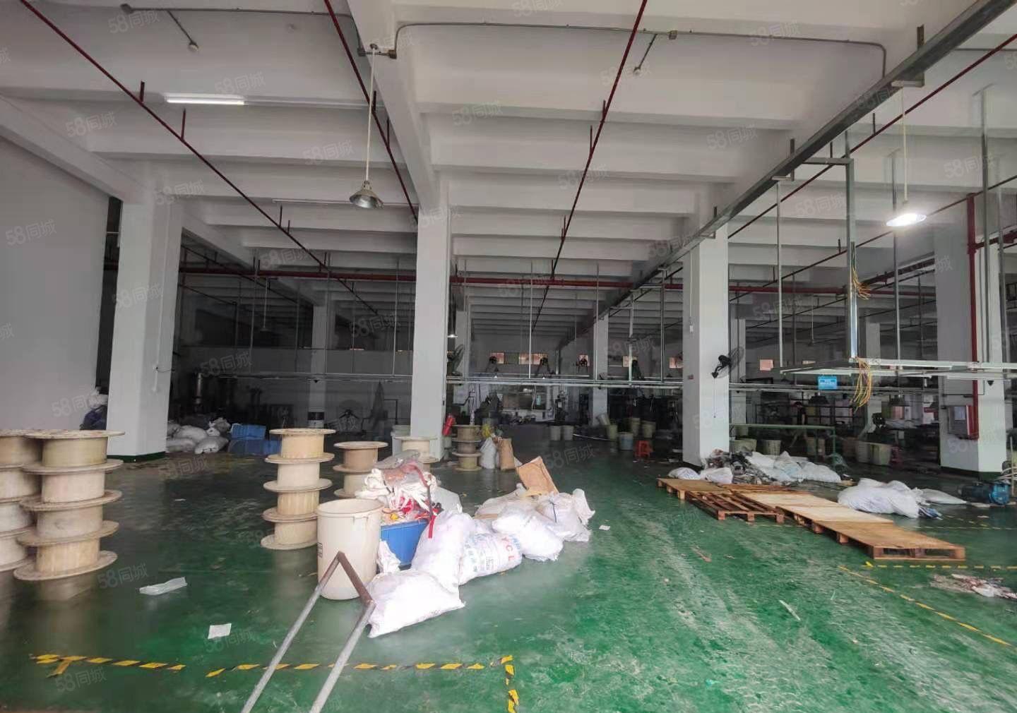 厚街原房东1725平方一楼6.5高精装修形象好水电齐全厂房