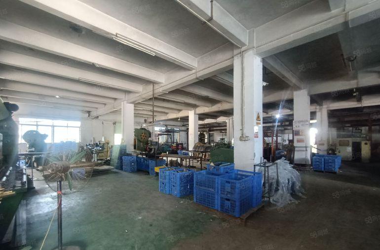 厚街工业园区一楼1000平方厂房出租采光好主路边上可分租